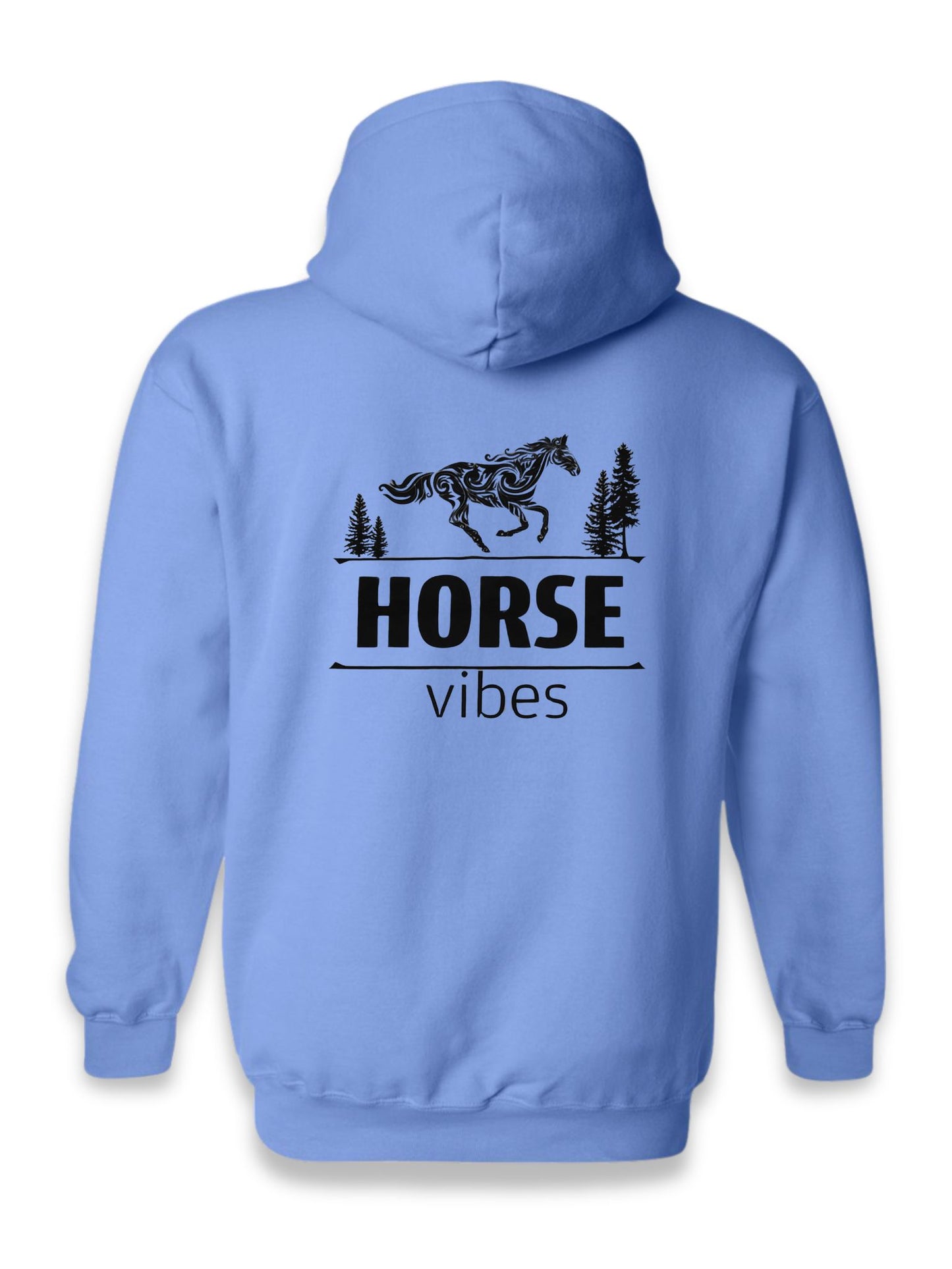 Blue Hoodie Sweatshirt (adult)