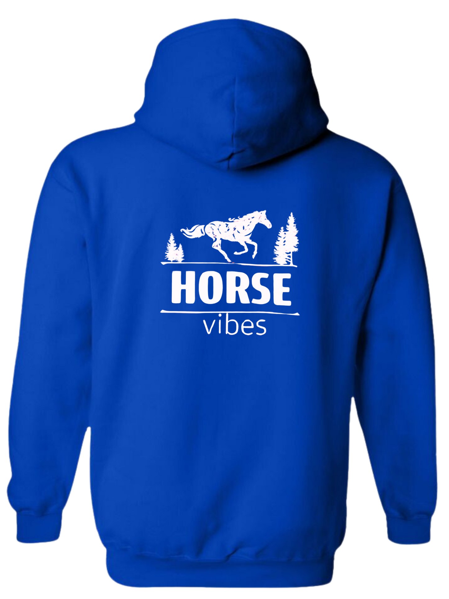 Blue Hoodie Sweatshirt (adult)