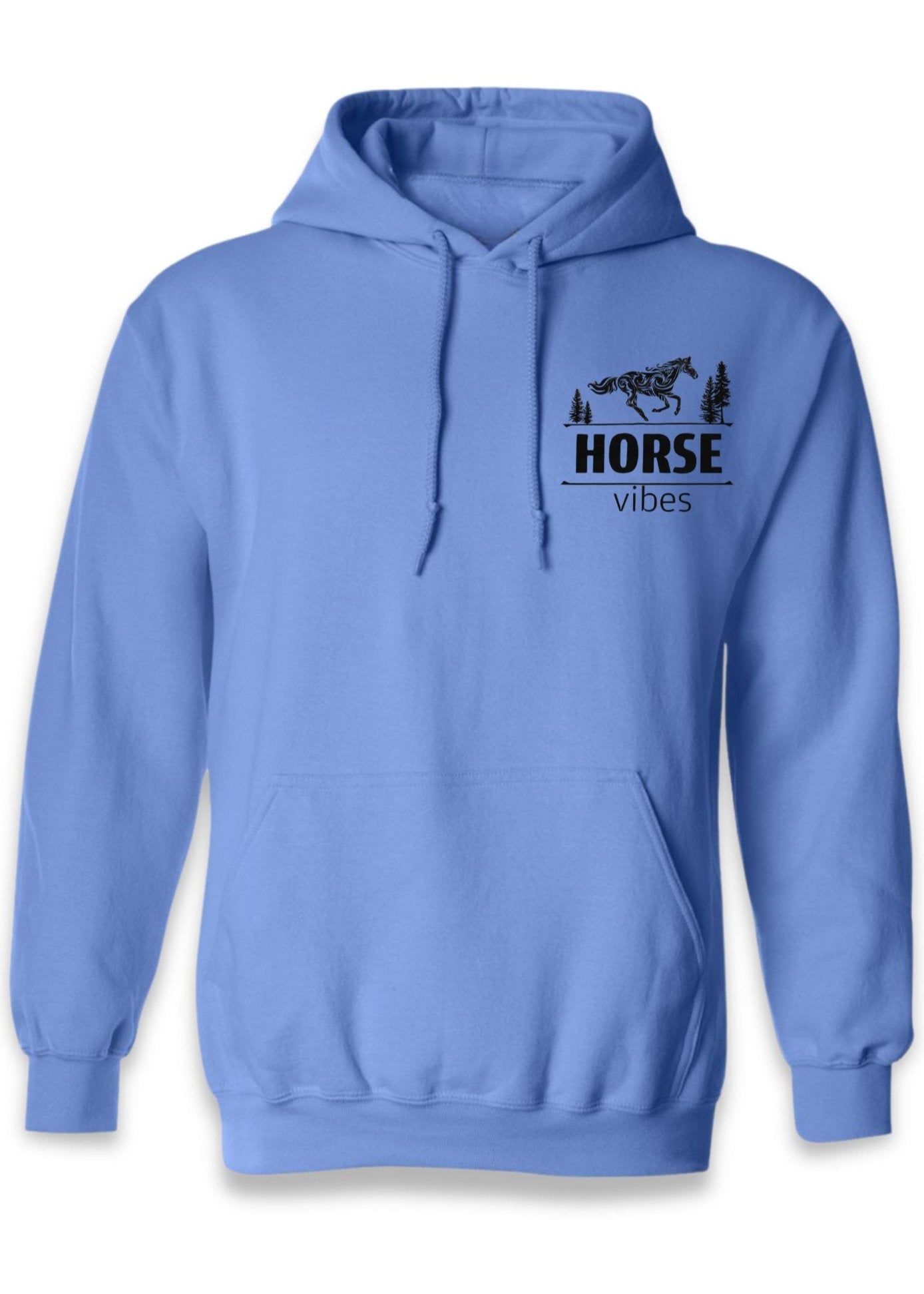 Blue Hoodie Sweatshirt (adult)