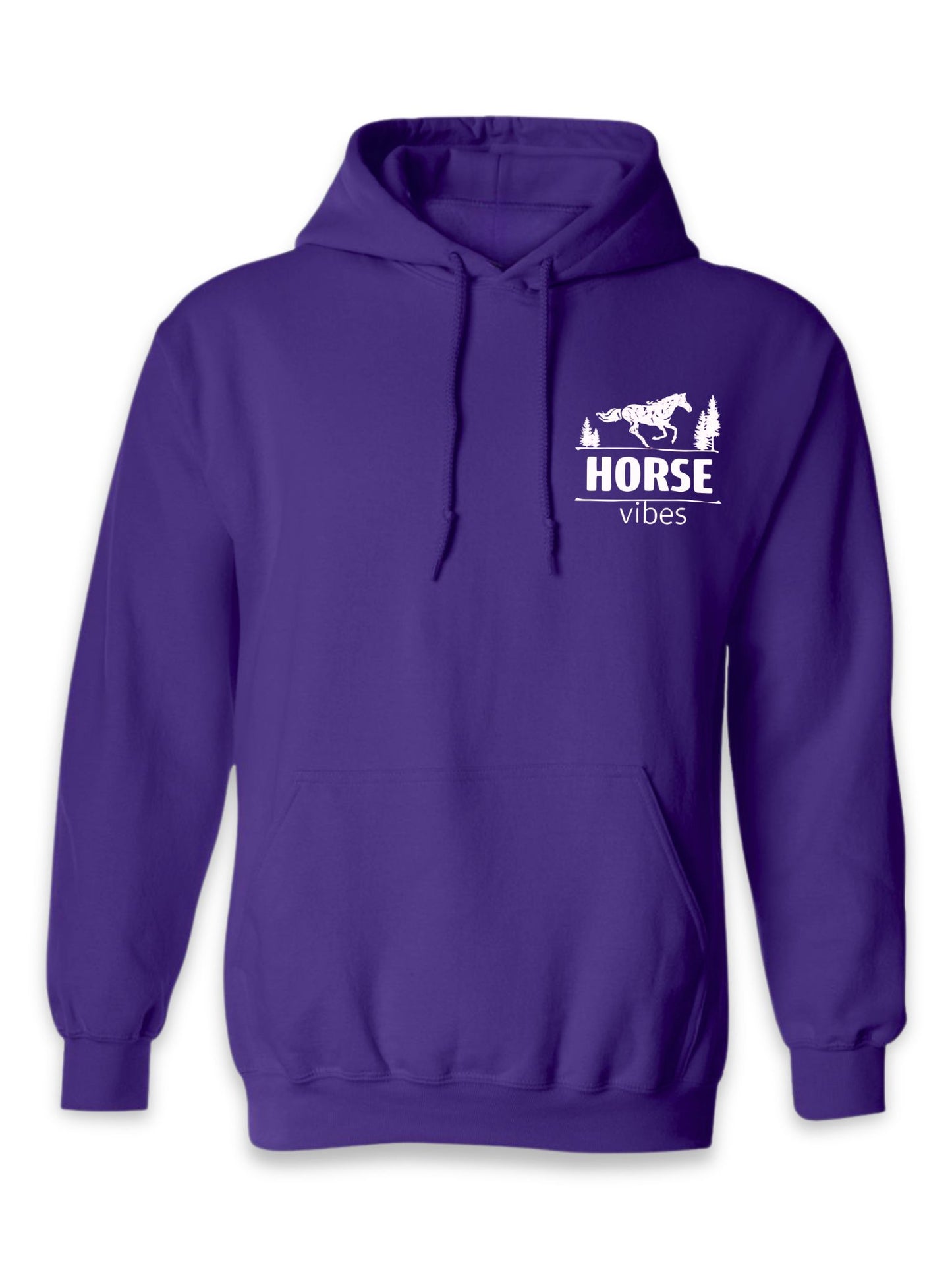 Blue Hoodie Sweatshirt (adult)
