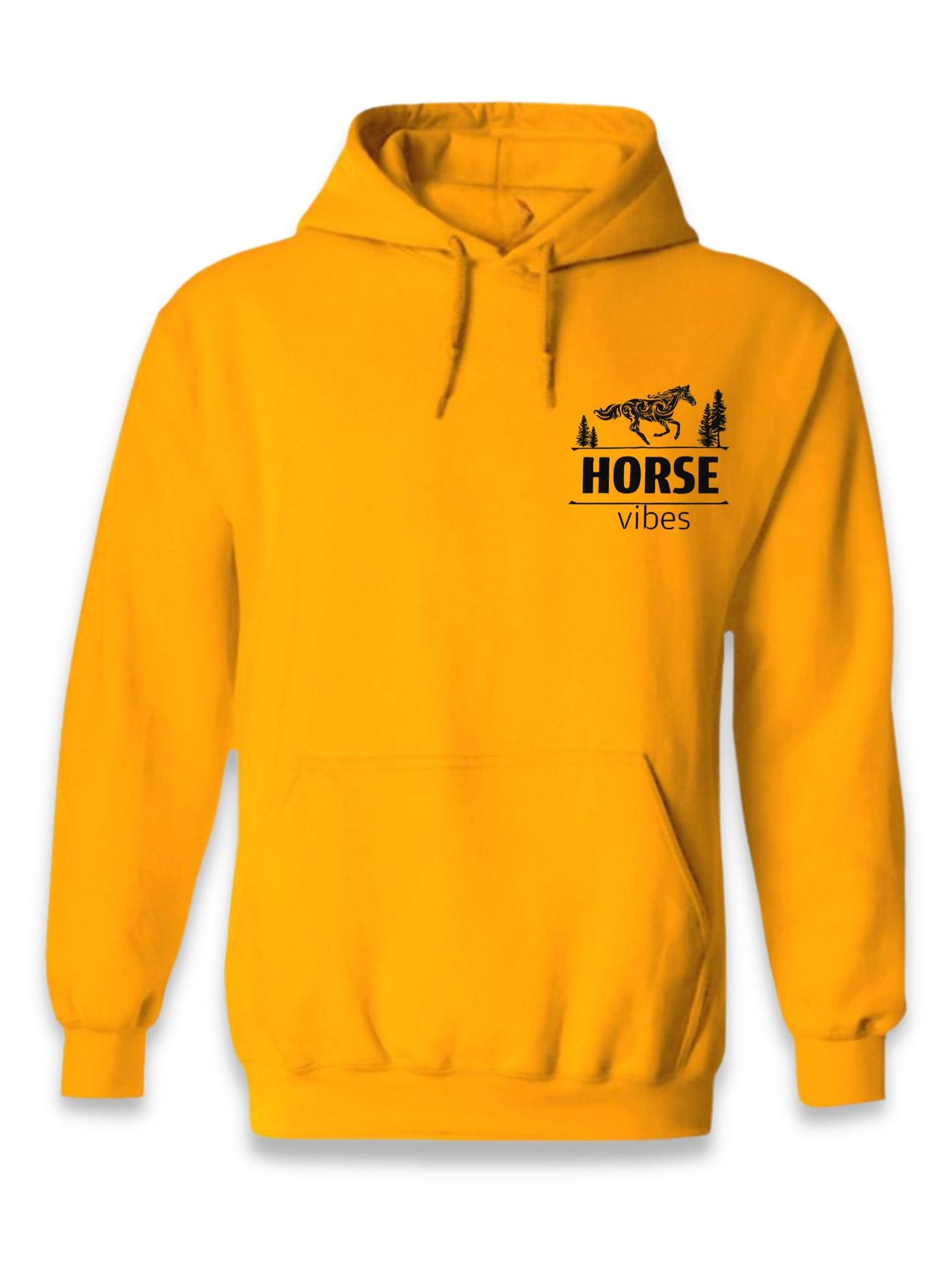 Blue Hoodie Sweatshirt (adult)