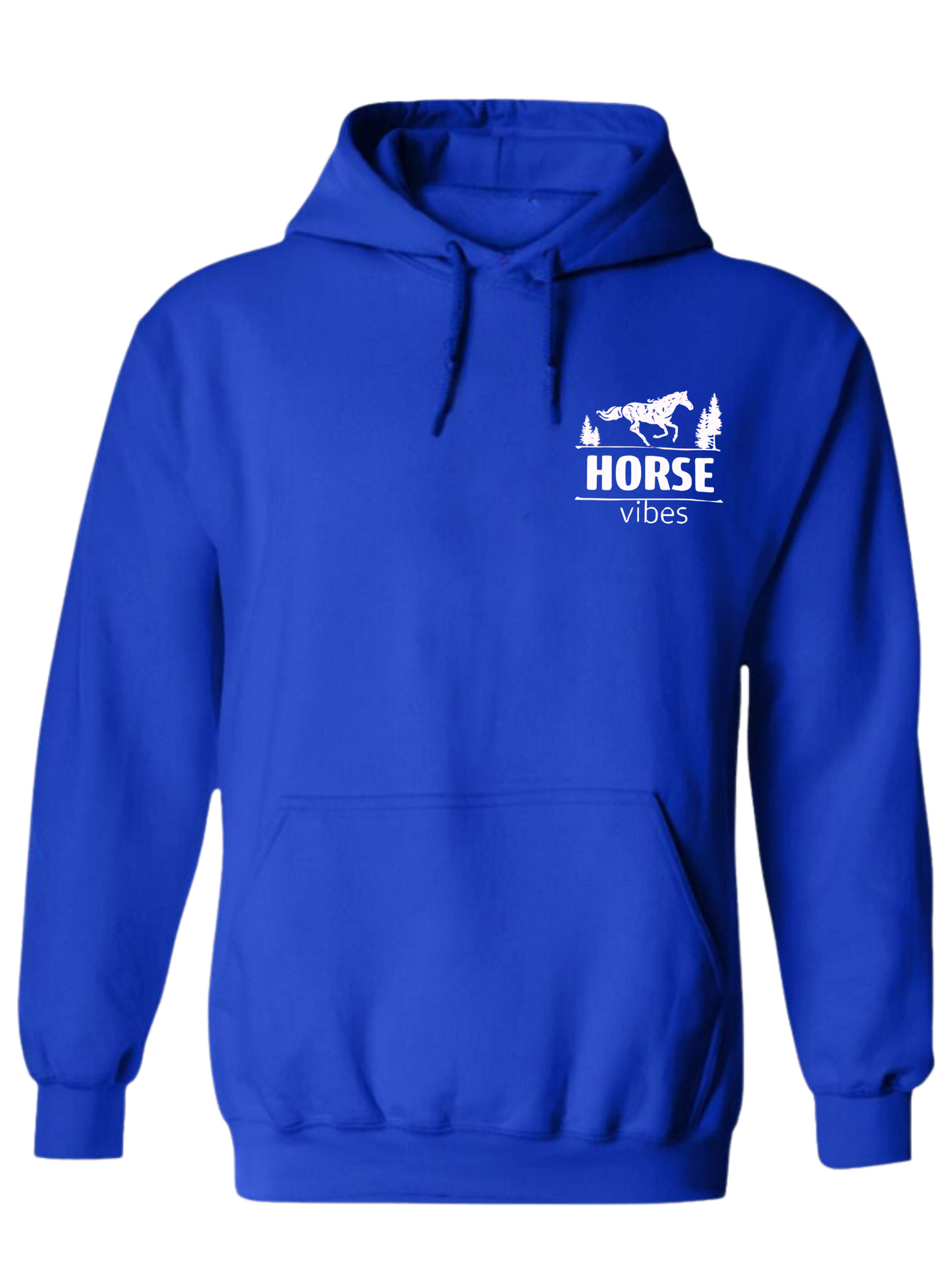Blue Hoodie Sweatshirt (adult)