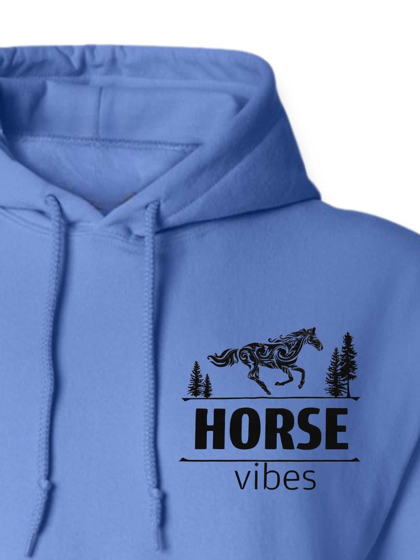 Blue Hoodie Sweatshirt (adult)