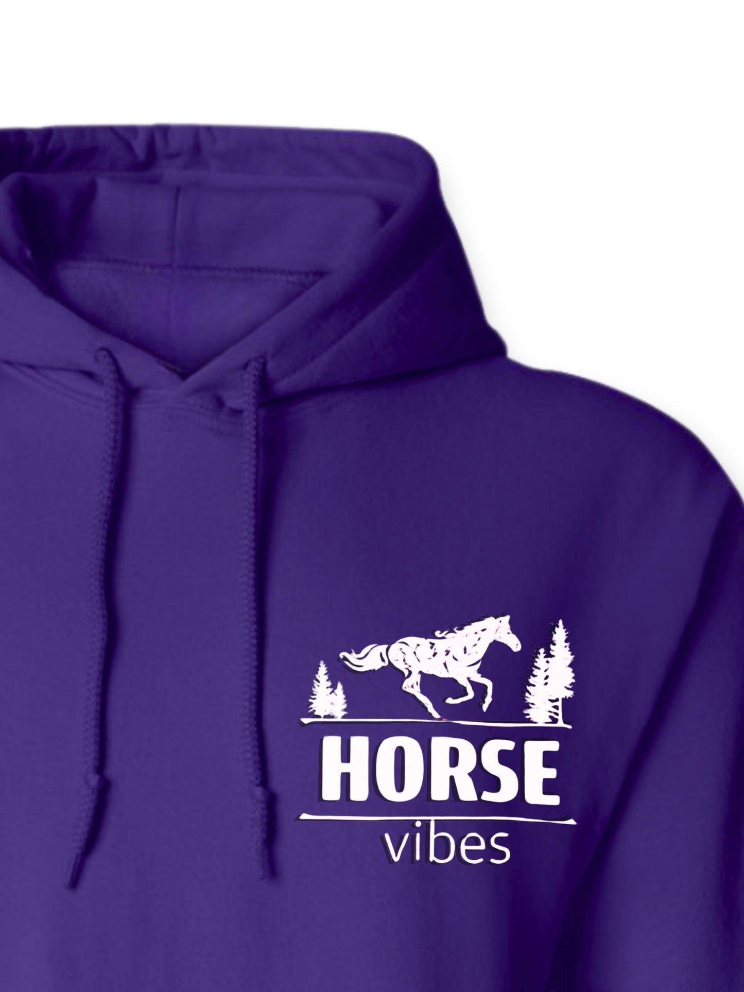 Blue Hoodie Sweatshirt (adult)