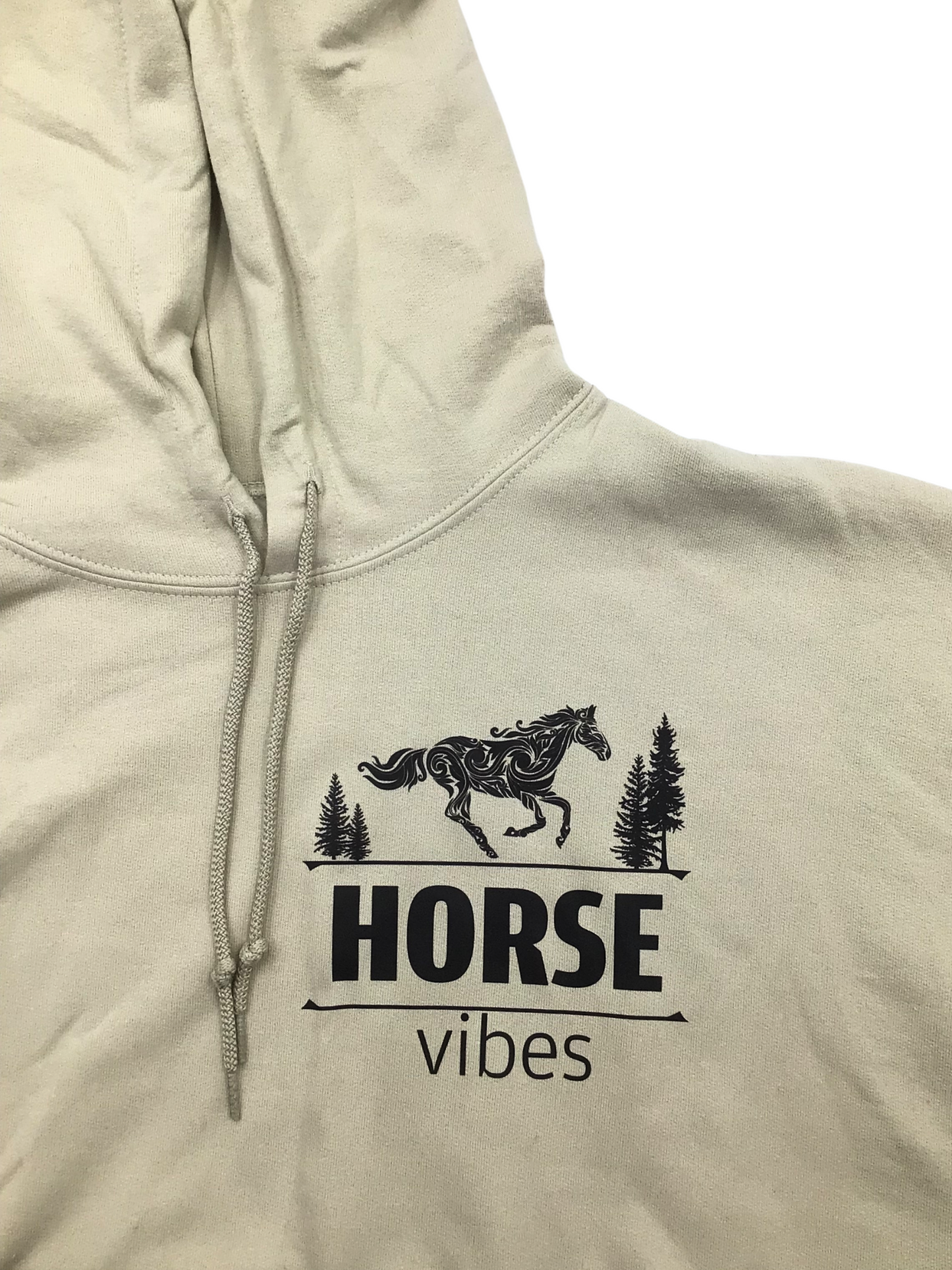 Blue Hoodie Sweatshirt (adult)
