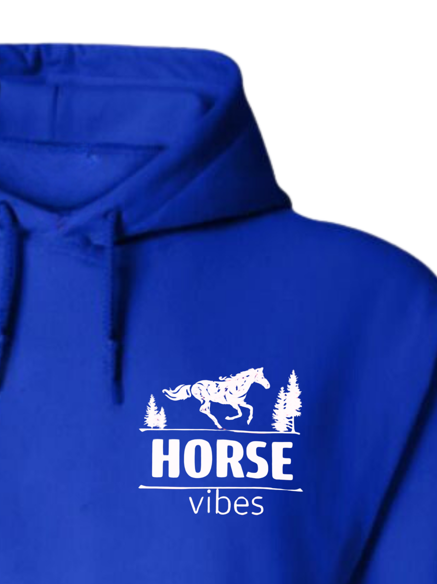 Blue Hoodie Sweatshirt (adult)