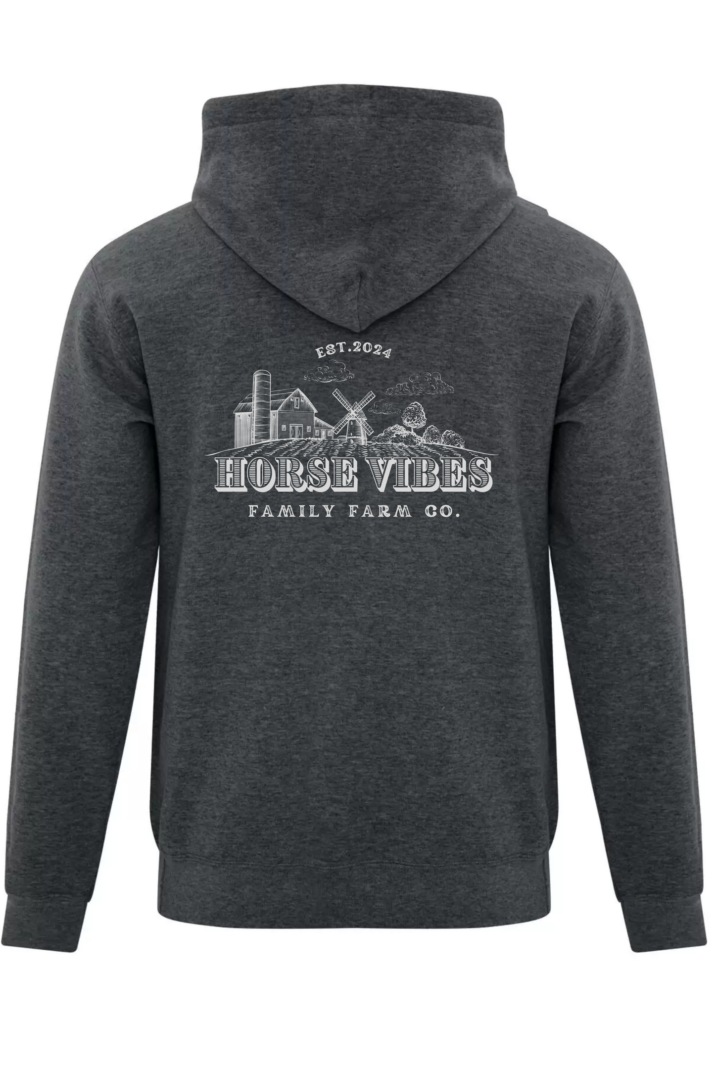Blue Hoodie Sweatshirt (adult)