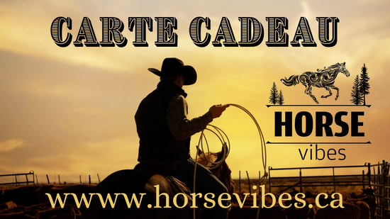 carte cadeau de 10$ à 150$