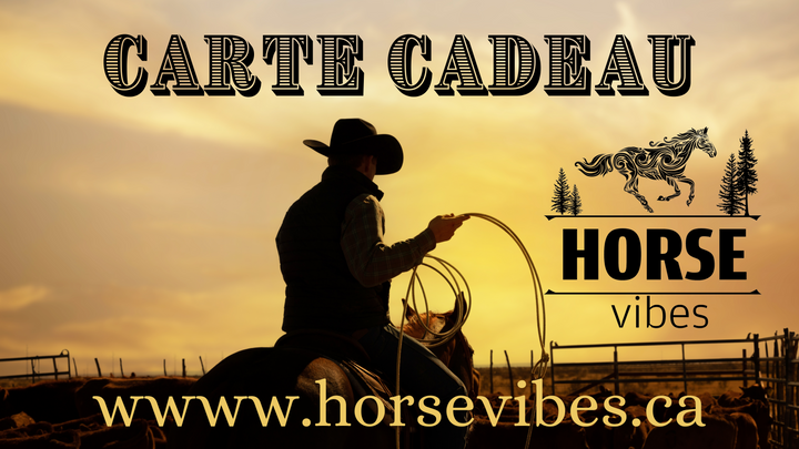 carte cadeau de 10$ à 150$