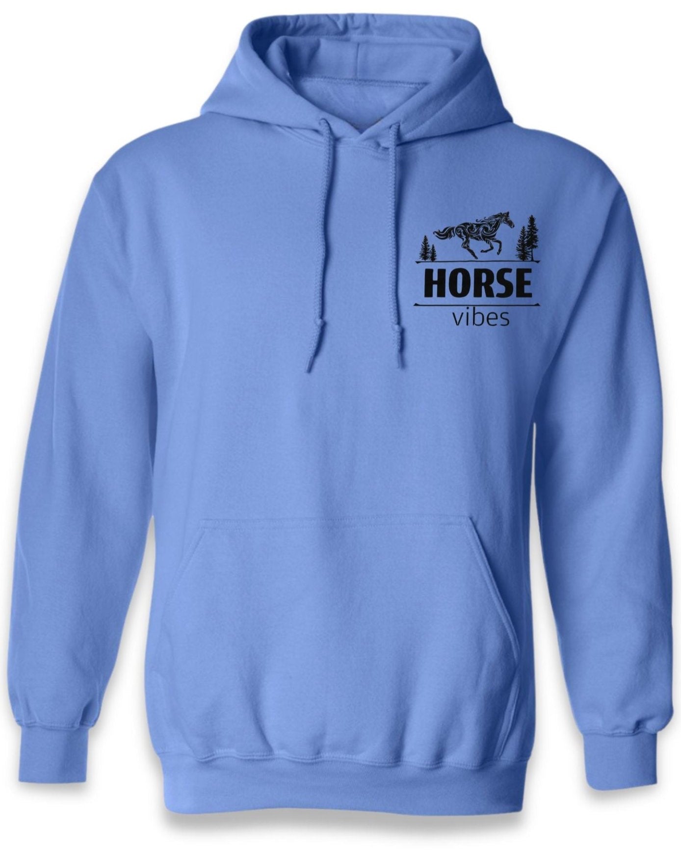 Blue Hoodie Sweatshirt (adult)