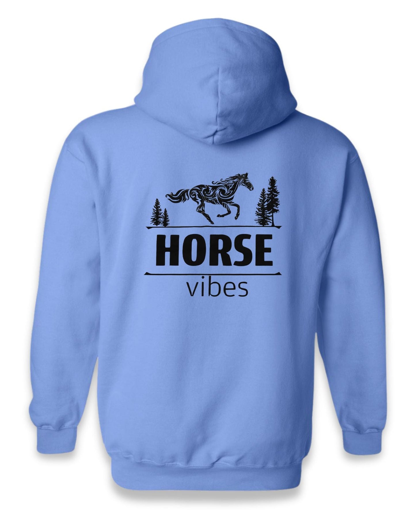 Blue Hoodie Sweatshirt (adult)