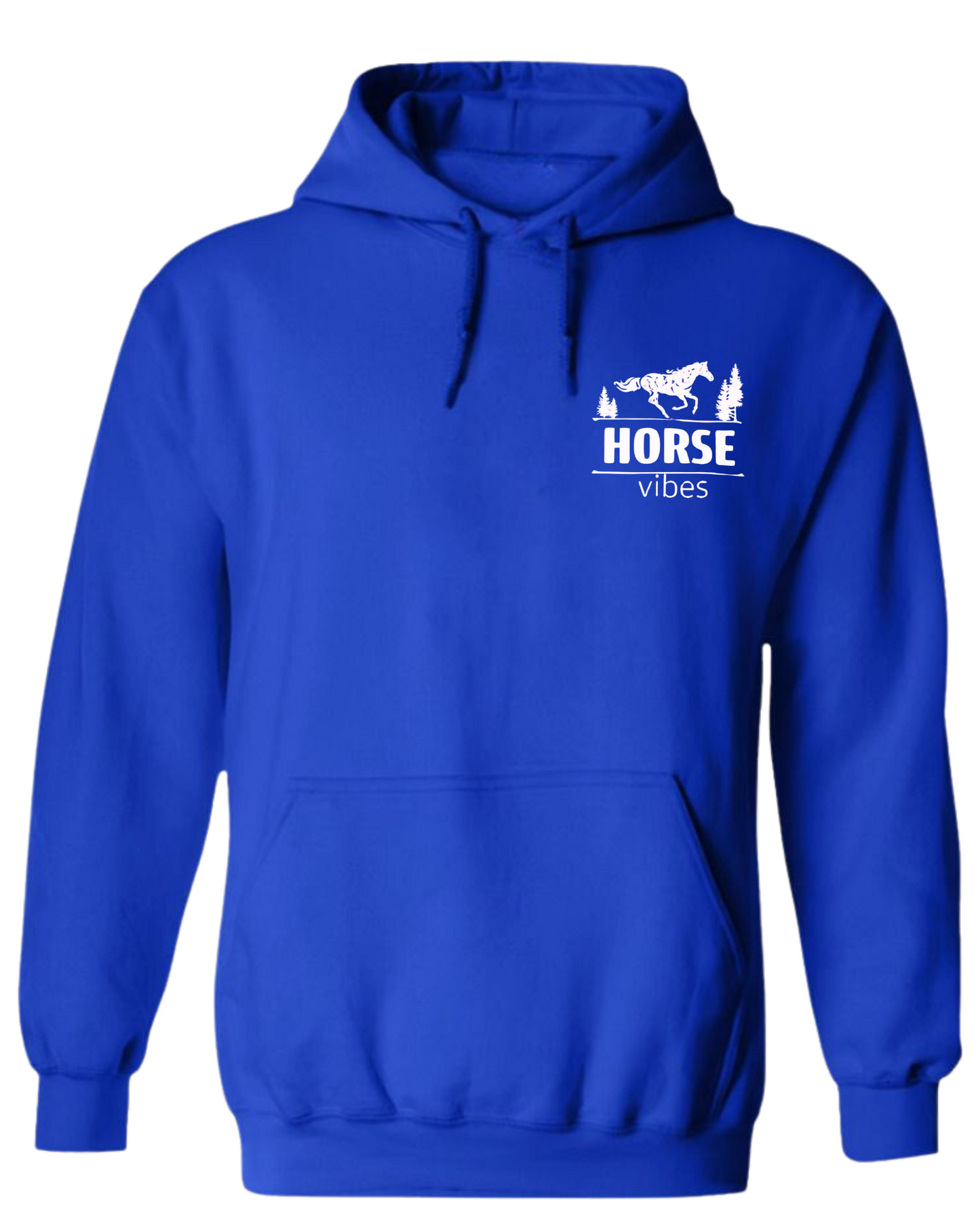 Blue Hoodie Sweatshirt (adult)